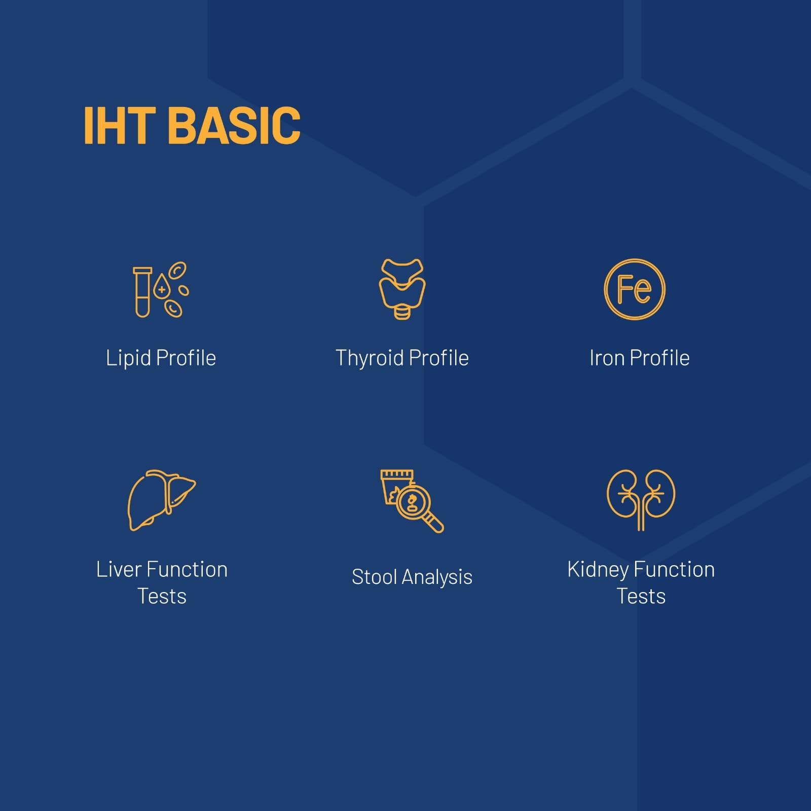 India's First Integrated Health Test - Know Your Body and Biome Score