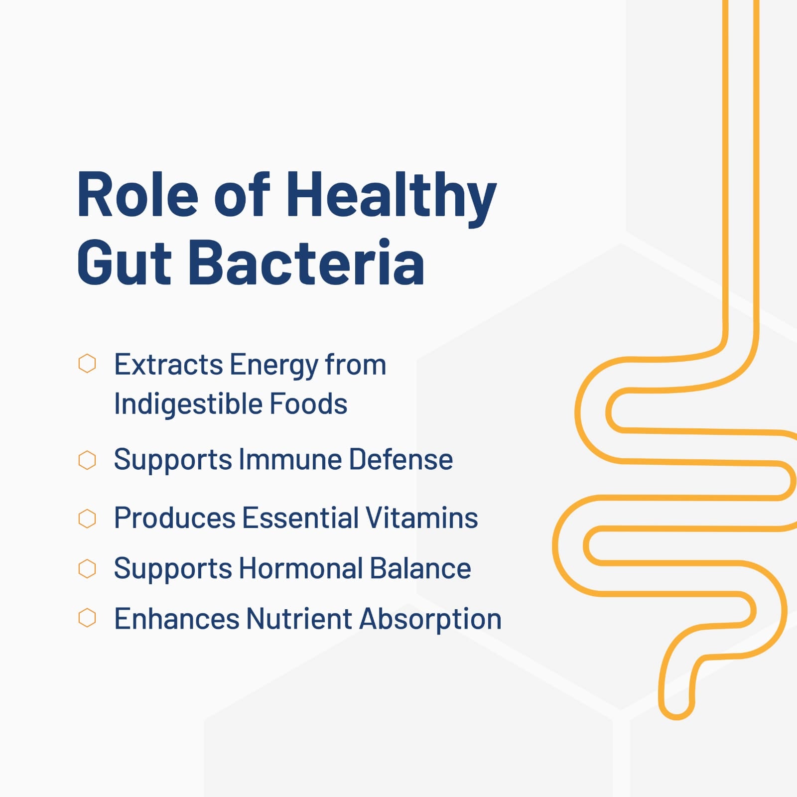 Transform Your Gut Health with Our Premier Microbiome Test